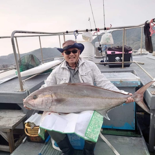 カンパチの釣果