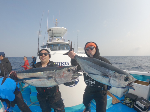 ビンチョウマグロの釣果