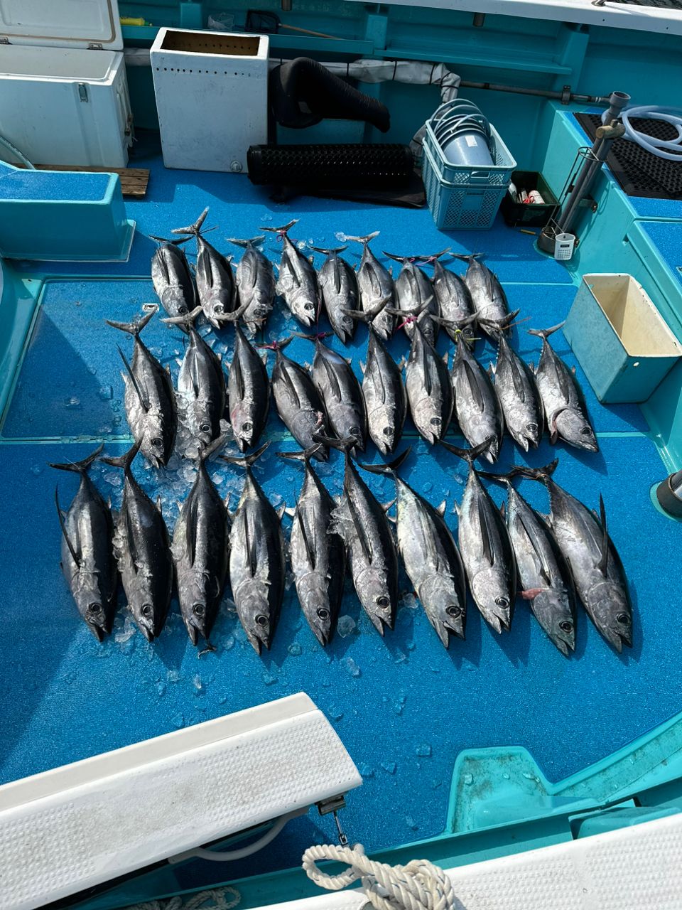 nishiyan_さんの釣果 2枚目の画像