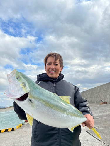 ブリの釣果