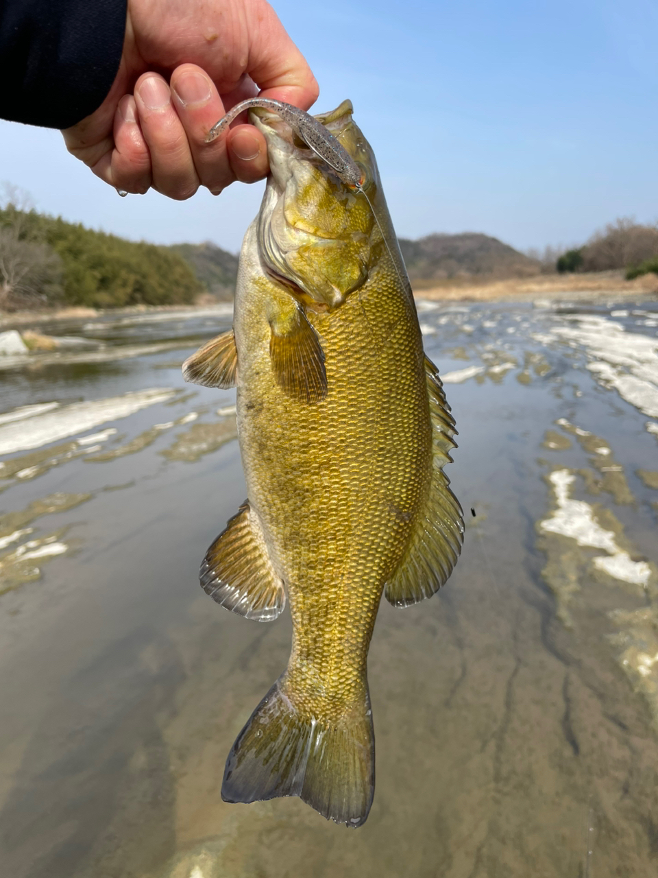 スモールマウスバス