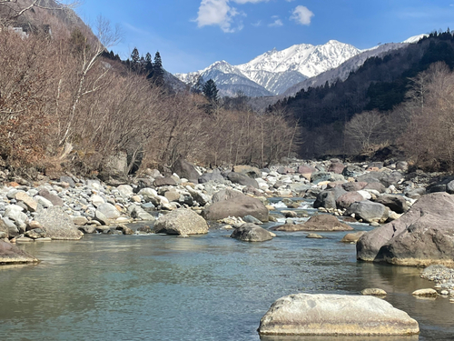 イワナの釣果