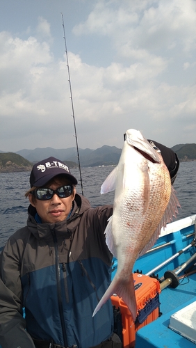 マダイの釣果