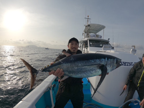 ビンチョウマグロの釣果