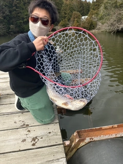 イトウの釣果