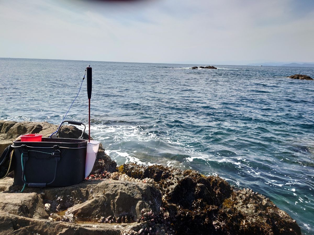 アングラーツヨポンさんの釣果 3枚目の画像