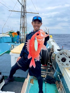 エビスダイの釣果