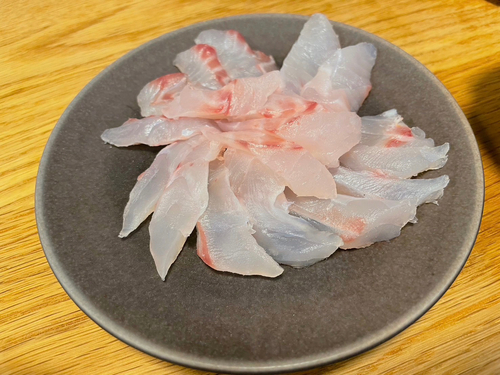 メジナの釣果