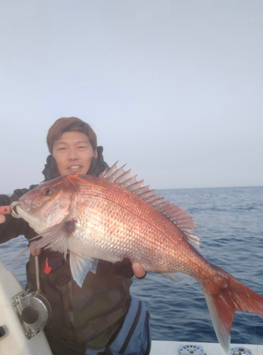 タイの釣果