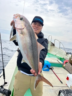 カンパチの釣果