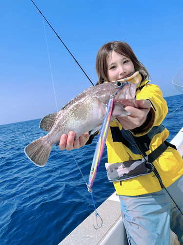 タヌキメバルの釣果