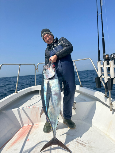 ビンチョウマグロの釣果