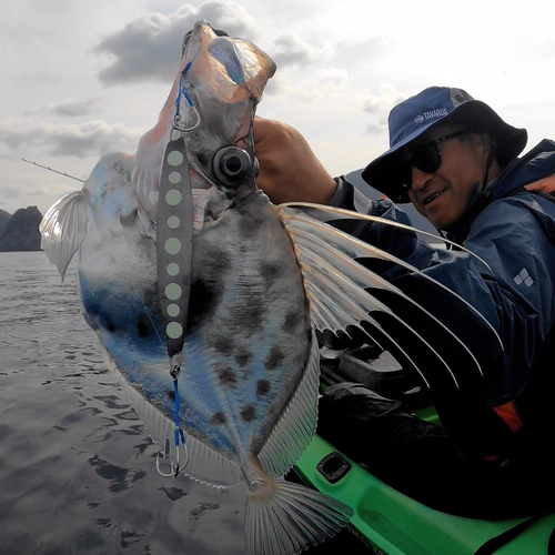 カガミダイの釣果