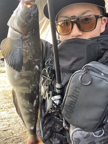 ホッケの釣果