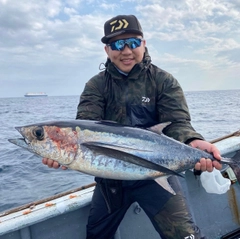 ビンチョウマグロの釣果