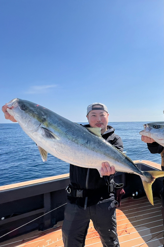 ブリの釣果