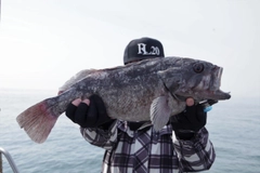クロソイの釣果