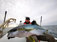 ヒラマサの釣果