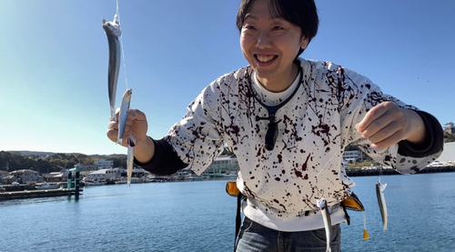 カタクチイワシの釣果