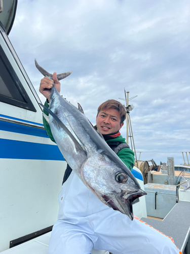 ビンチョウマグロの釣果