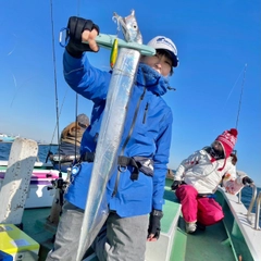 タチウオの釣果