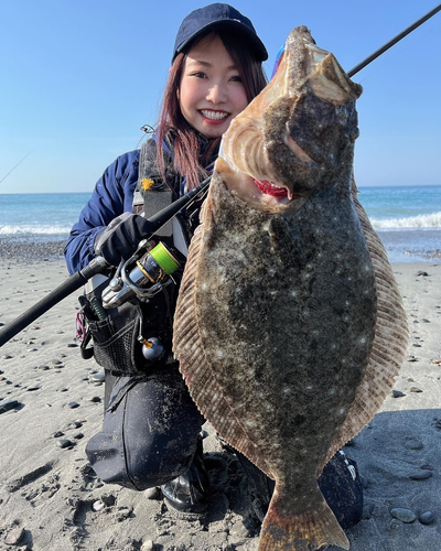 ヒラメの釣果