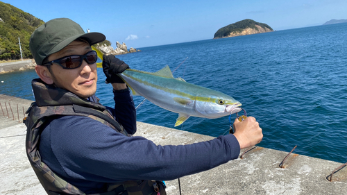 ハマチの釣果