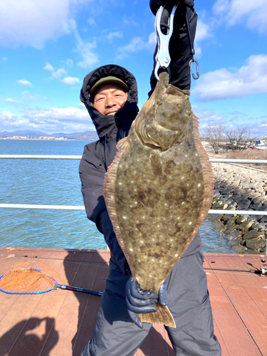 ヒラメの釣果