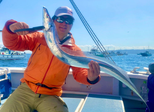 タチウオの釣果