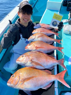 マダイの釣果