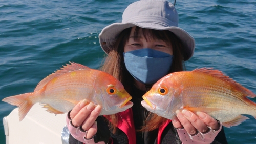 レンコダイの釣果