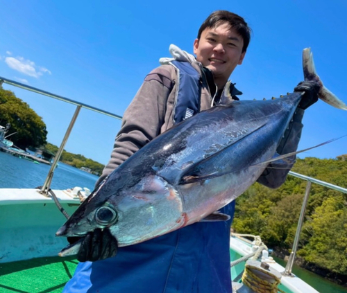 ビンチョウマグロの釣果