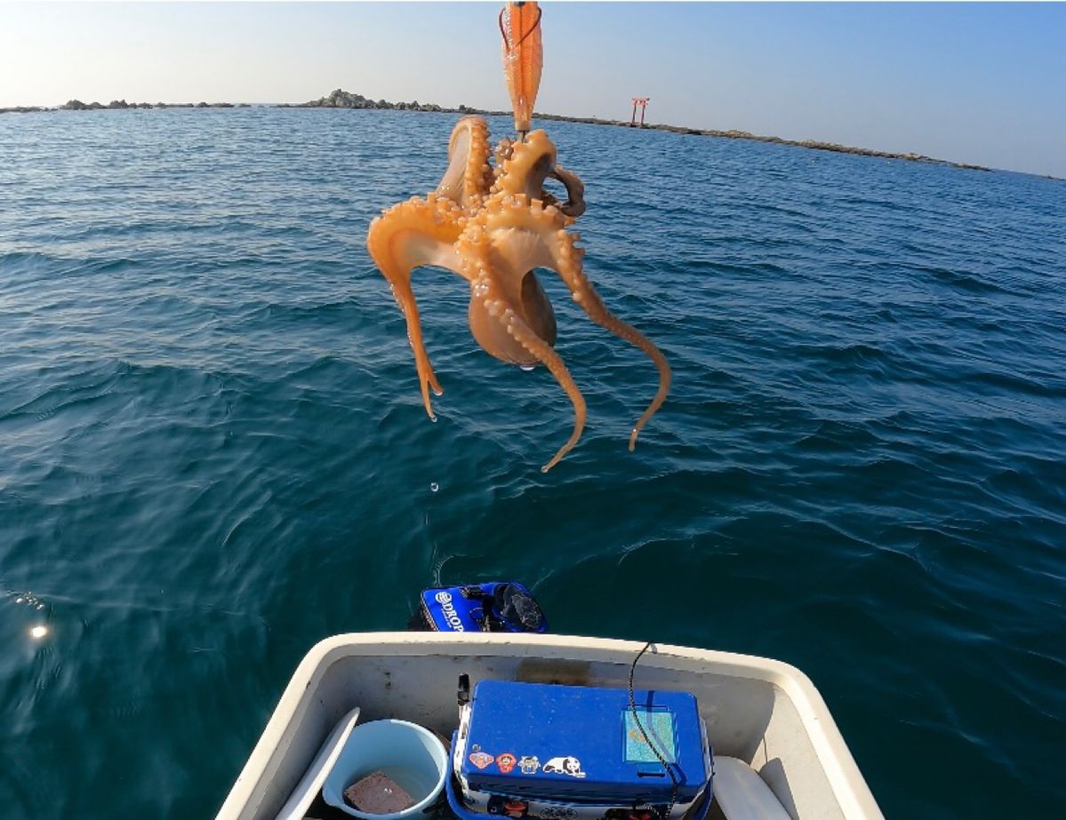 電脳ぱんださんの釣果 2枚目の画像