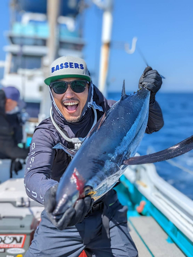 ビンチョウマグロの釣果