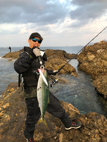 宮ノ浦漁港の釣果 - アングラーズ | 釣果400万件の魚釣り情報サイト