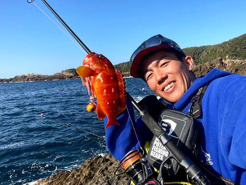 アカハタの釣果