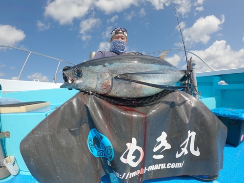 ビンチョウマグロの釣果