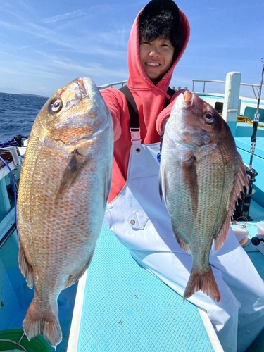 マダイの釣果