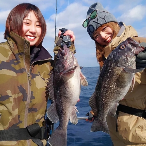 クロソイの釣果