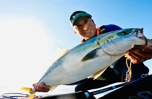 ワラサの釣果