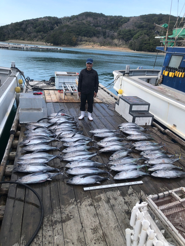 ビンチョウマグロの釣果