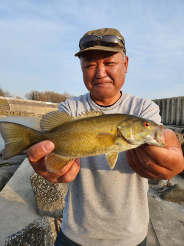 スモールマウスバスの釣果