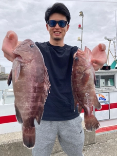 マハタの釣果