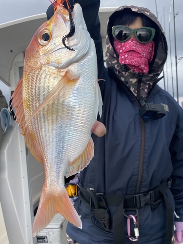 レンコダイの釣果