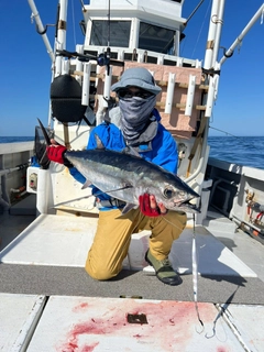 ビンチョウマグロの釣果