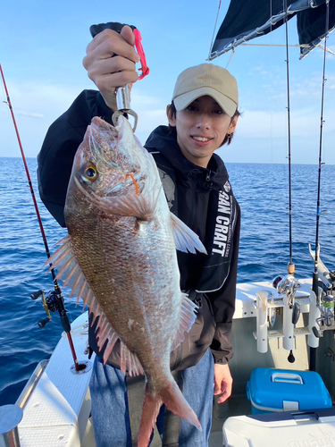 マダイの釣果