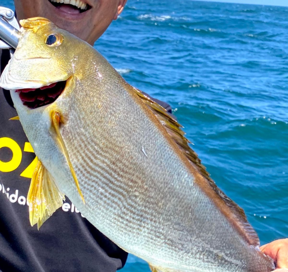 アングラー九州さんの釣果 2枚目の画像