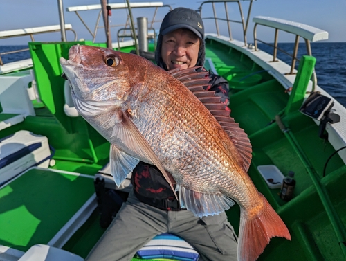 マダイの釣果