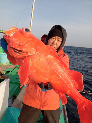 サンコウメヌケの釣果