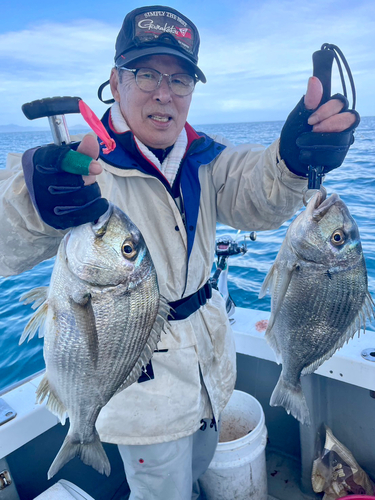 ヘダイの釣果